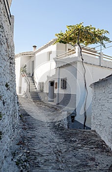 Street of Pampaneira