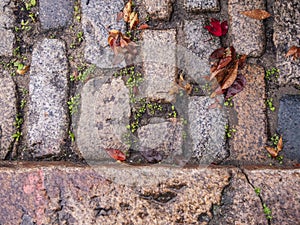 Street paved with sett stones