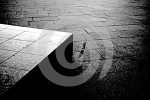 Street pavement and concrete block artistic black and white photography