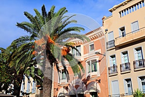 Street in Perpignan, France