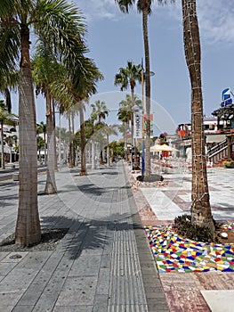 Street in Playa de las Americas on Tenerife photo