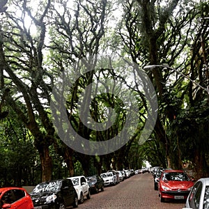 Street porto alegre city