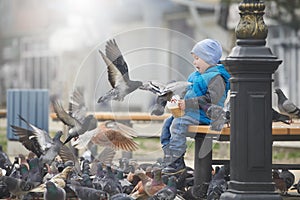 Ulice portrét malý chlapec krmení holubi semena 