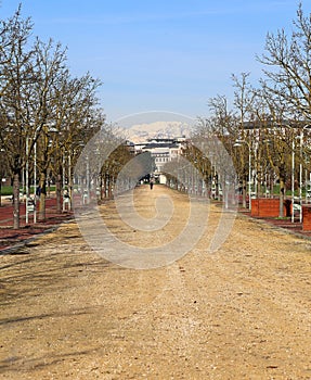 Street in the public park called CAMPO MARZO in Vicenza, Italy photo