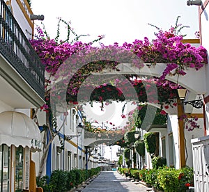 Street in Puerto De Mogan photo
