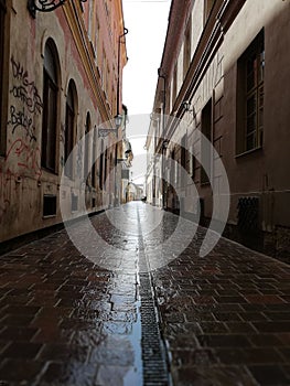 Street after rain