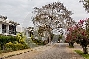 Street in a residential area of Hawassa, Ethiop