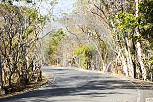 Street road in forest jungle and mountain hill route for thai people travelers journey travel visit trail hiking to respect