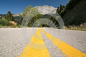street road yellow lines trees mountain firs transportation background