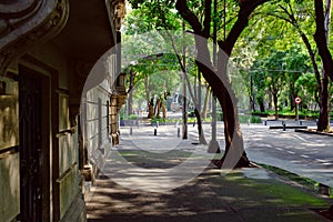 Street at Roma Norte, a fashionable neighborhood in Mexico City photo