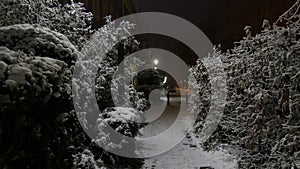 Street round lamp on a winter night, next to snow-covered bushes. Winter cozy evening, snow-covered courtyard of the