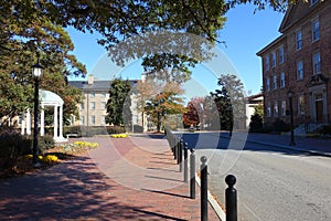 Street running through the main campus of UNC in Chapel Hill photo