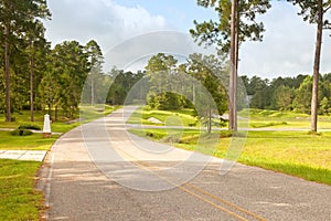 Street in Rural Florida Community