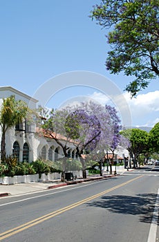 Street in Santa-Barbara, USA