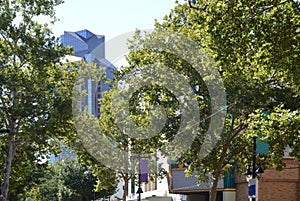 Street Scene in Downtown Sacramento, the Capital City of California