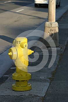 Street Scene with Fire Hydrant