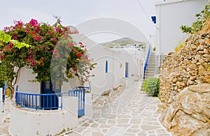 Street scene Greek Island Milos white stucco painted houses classic blue windows door bougainvillea streets Greece