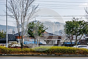 Street Scene at Gwangyang city in South Korea. photo