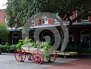 Street Scene in the Old Town of Savannah, Georgia