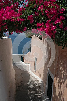 Street scene Santorini Greek Island