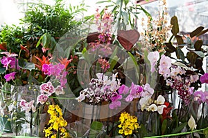 Street show-window of flower shop