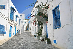 Street in Sidi Bou