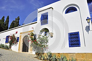 Street of Sidi Bou Said with blue windows