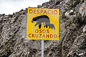 Street sign attention bear crossing - Despacio osos cruzando - w