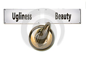 Street Sign Beauty versus Ugliness