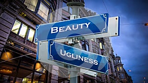 Street Sign Beauty versus Ugliness