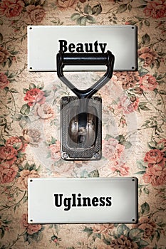 Street Sign Beauty versus Ugliness