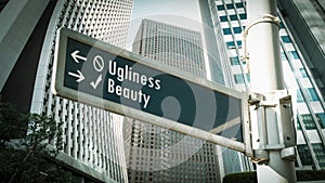 Street Sign Beauty versus Ugliness