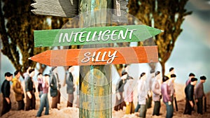 Street Sign Intelligent versus Silly