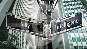 Street Sign Intelligent versus Silly