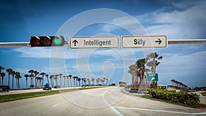 Street Sign Intelligent versus Silly