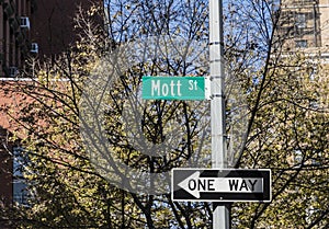 Street sign Mott street photo