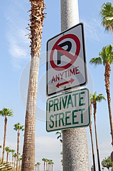 street sign on sunny summer street with palms