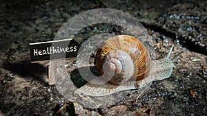 Street Sign to Healthiness