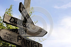 Street signs in the natural park indicating directions to different places of the world. The sky on the background.