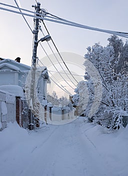 Street with snow-covered road, trees, leaning pole, fence, private house. A day during the polar night