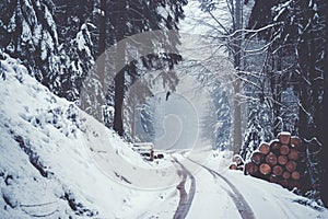 Street in snowy mountain forest