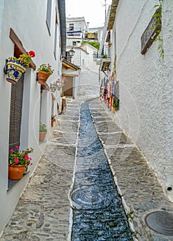 Street in a Spanish town, Pampaneira