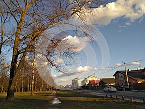 Street spring landscape in the sunlight trees and houses blue sky clouds background
