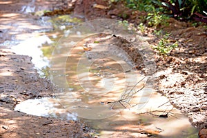 street with stagnant water on the ground inside, a place for the proliferation of Aedes aegypti larvae, dengue, chikungunya, zika