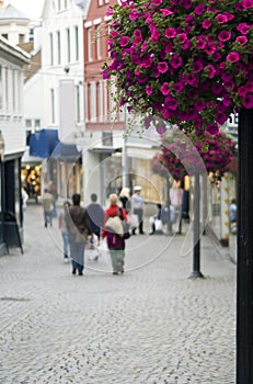 Street of Stavanger photo