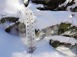 Street thermometer with a temperature of Celsius and Fahrenheit in the snow next to a young pine