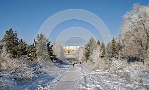 The street of the town in winter, snowy trees and a woman walks along the snowy path