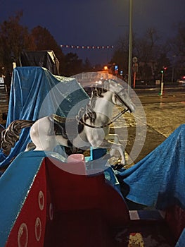 street toys covered with nylon during a rainy night, except for the horse whose blanket was blown away by the wind photo