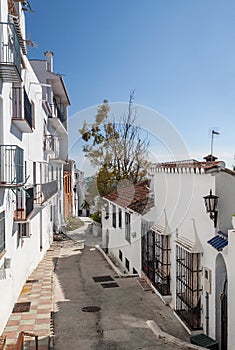 Street with tree in Frigiliana