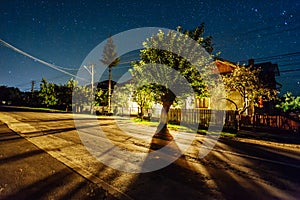 Street and tree illuminated at night